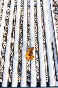 秋天寒冷的在城市花园中第一次雪覆盖着木椅上的落叶图片