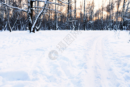 冬季日落时黄昏在城市公园的地表雪覆盖草原上地轨图片