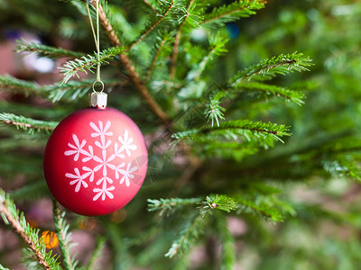 圣诞装饰红色球有雪花图案关闭在室内圣诞树的枝上背景
