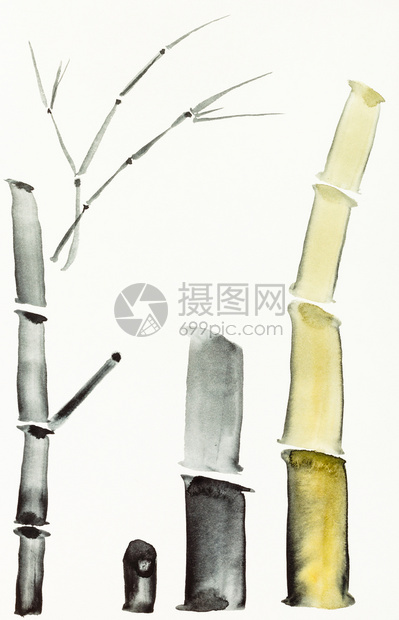 用水彩漆色涂料suiesuibukuga风格的培训绘图竹干是用奶油纸手工画的图片