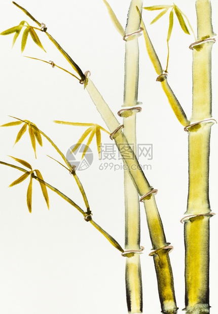 用水彩漆色涂料用Sumiesuibukuga风格的训练教学竹木是用奶油纸手工画的图片
