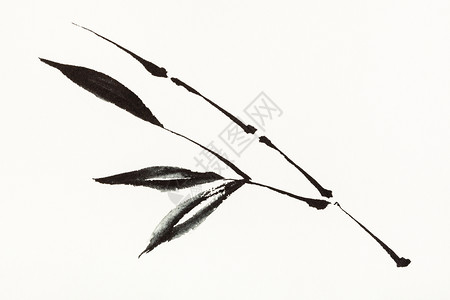 以水彩油漆suibokuga风格用水彩色涂料绘制训练图材竹枝是用乳油纸绘制的手图片