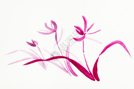 以水彩油漆suibokuga风格用水彩色涂料绘制培训用shumiesuibukuga方式绘制的训练紫兰花是用奶油纸手工绘制的图片