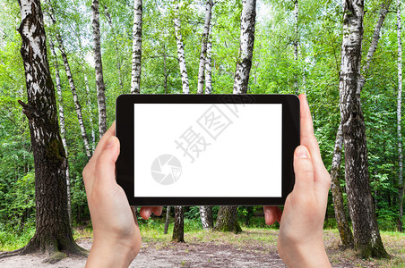 旅行概念莫斯科市城公园绿林草原上树苗的旅游照片阳光明媚的夏日莫斯科市用智能手机拍摄空白剪贴板广告位置图片