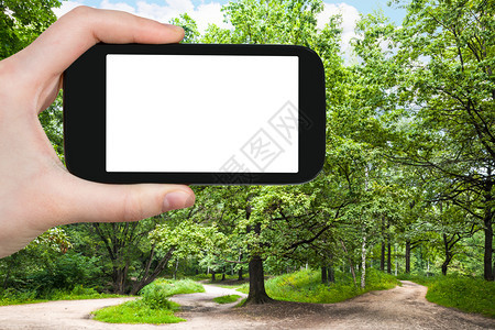 旅行概念莫斯科市公园大橡树的旅游照片在莫斯科市阳光明媚的暑日用智能手机拍摄空白剪贴板广告位置的智能手机图片