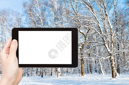旅行概念莫斯科市城公园冬季林地旅游照片用智能手机拍摄空白剪切屏广告位置图片