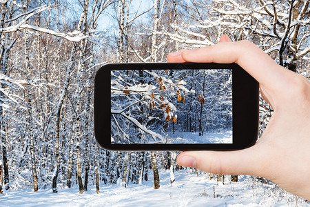 旅游概念俄罗斯莫科智能手机在阳光明日的寒冬图片
