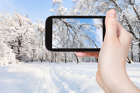 旅游概念俄罗斯莫科智能手机上阳光明日的冬季清晨城市公园雪覆盖树木的旅游照片图片