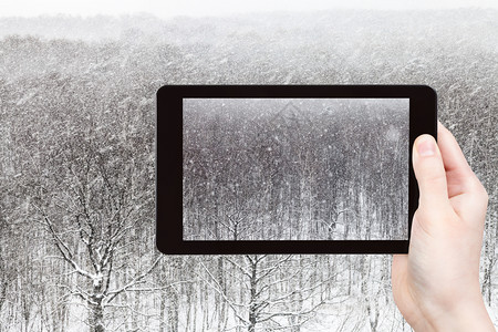 旅游概念俄罗斯莫科智能手机在市公园冬季日的树木上下雪旅游照片图片