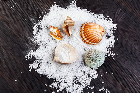 海盐和深棕色木板上的贝壳图片