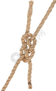 结两条绳白背景的两条绳结白背景的两条绳结图片