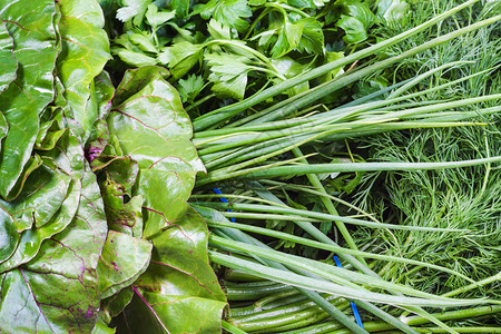 天然食物背景各种湿新鲜绿菜密闭甜扇贝鹦鹉图片