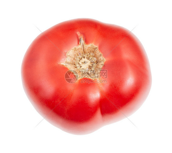 白背景孤立的番茄图片