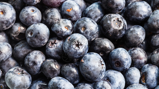 天然食物全背景许多新鲜蓝莓特配背景图片