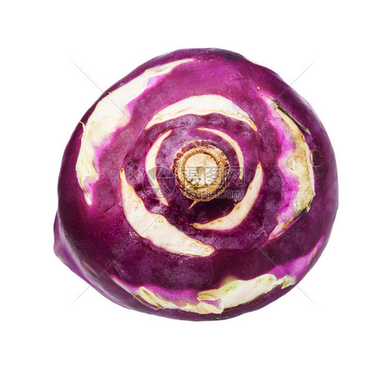 白色背景中孤立的紫色高拉比卷心菜图片