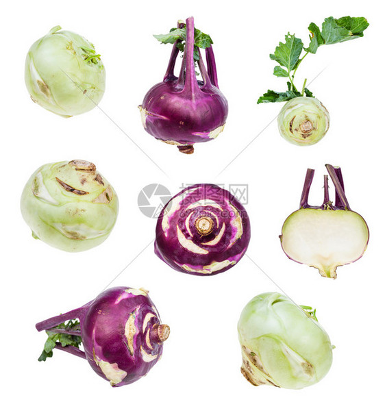 白色背景中分离的各种新鲜Kohlrabi灯泡集图片