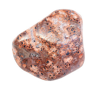 地质采集的天然矿物样在白色背景上孤立的豹皮肤刺斑石JaguarStone石块图片