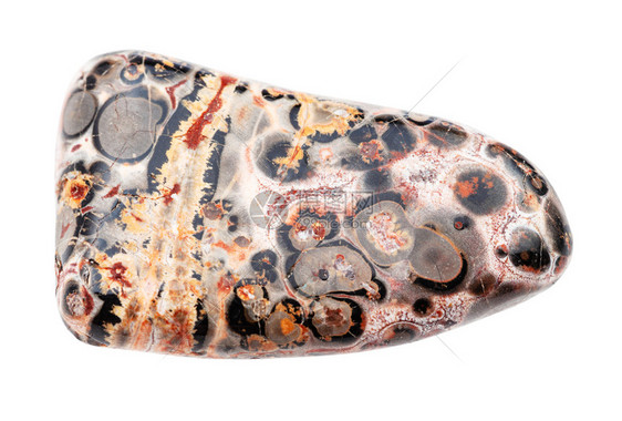 地质采集的天然矿物样本查封白色背景孤立的Pleopard皮肤JasperJaguarStone宝石JaguarStone图片
