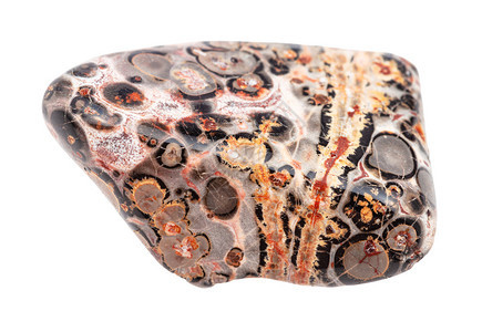 地质采集的天然矿物样本查封白背景上孤立的石宝JaguarStone孤立的豹皮宝石Jaguar图片