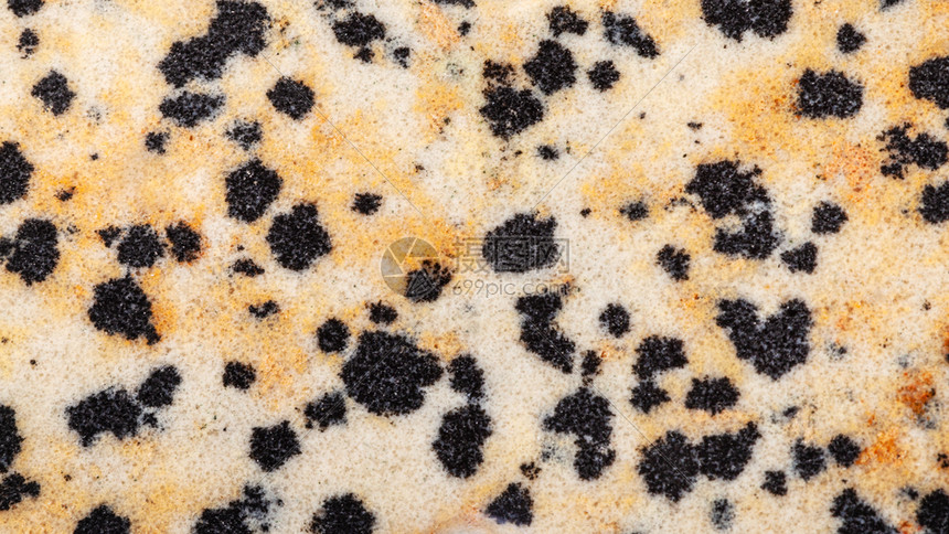 抛光自然的dalmatianjasperdalmatine石英干地岩的全光背景抛的dalmatian石块的全光背景 高清图片下载 正版图片 摄图网
