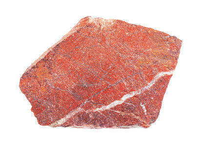 地质采集的天然矿物样本查封白色背景隔离的粗红刺豹岩白色背景隔离的粗红刺豹岩图片