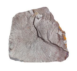地质采集的天然矿物样本封闭白色背景隔离的原灰色赫马铁岩矿石白色背景隔离的原灰色赫马铁岩矿石图片