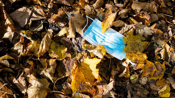 阳光明媚的秋天在叶子上用卫生面罩遮住脸部的全景图片