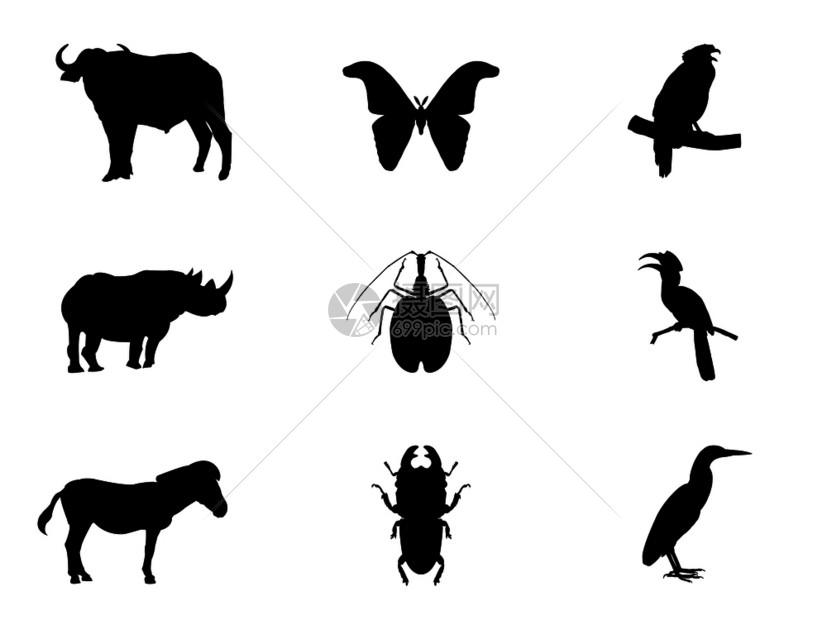 鸟类昆虫和野生动物剪影图片
