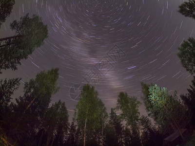 在森林中的天空星图片