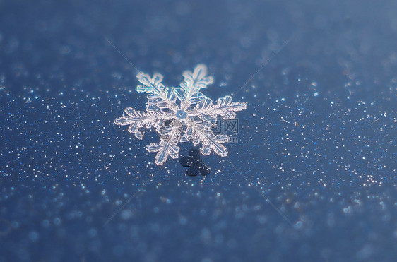 黑暗背景上的雪花图片