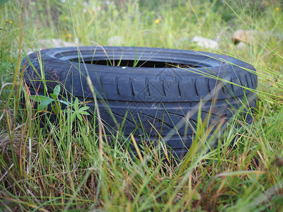 草地上的旧车胎背景图片
