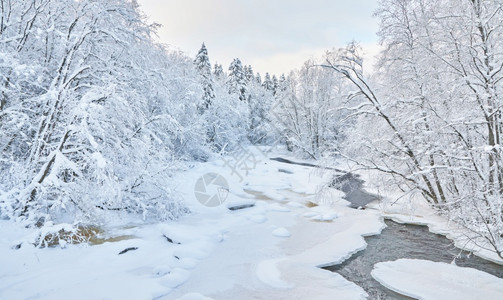 冰冻的河流雪美丽冬天图片