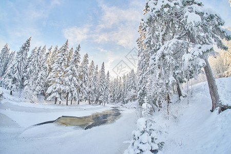 冰冻的河流雪美丽冬天图片