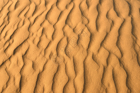 抽象的非洲金沙样板在弱者中沙漠背景图片
