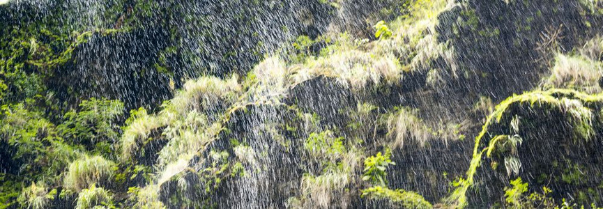 绿色飞沫抽象的摘要瀑布背景水滴简表瀑布背景绿苔草图片