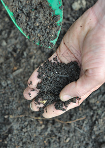 园丁以艺人员之手封闭土壤有机的堆肥图片