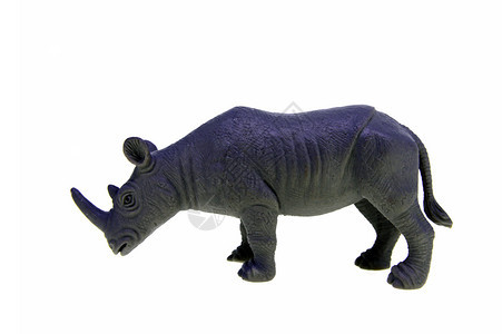动物白色的在背景上隔离的塑料玩具犀牛游戏图片