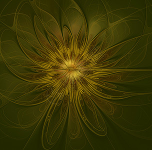 拉长的抽象花朵瓣长绿色背景巨大的花朵美丽图片