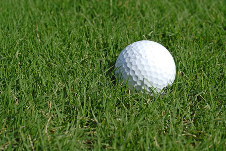 游戏希夫曼高尔球在草地上酒窝图片