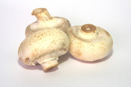 蘑菇健康新鲜的食用图片