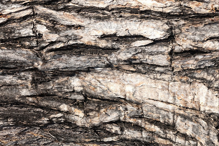 古老的碎裂旧木质材自然图片
