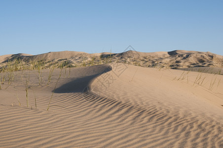 蓝天下的沙漠背景图片