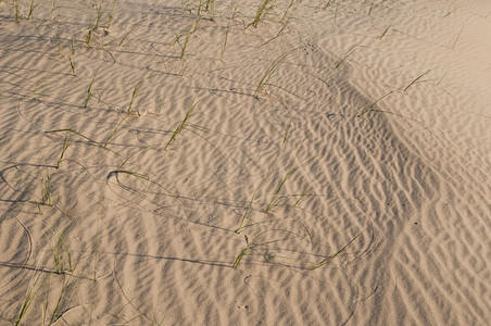 沙漠纹理背景图片
