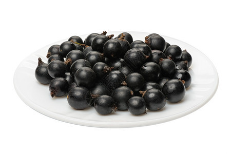 多汁的黑加仑在白色背景的盘子上被孤立的黑色卷纹在白背景上浆果图片