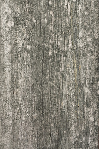 材料旧木质背景白色的木制图片