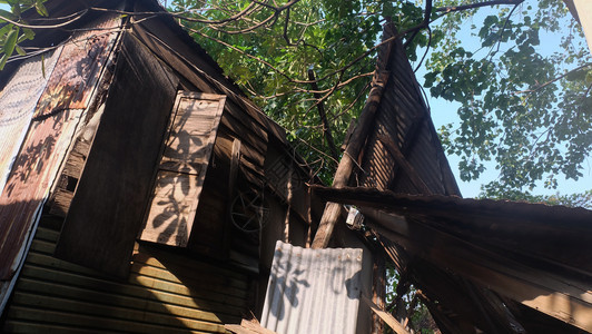 木制的已经恶化旧木屋泰王国树家背景图片