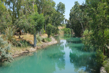Kinneret湖附近约旦河以色列靠近树木图片