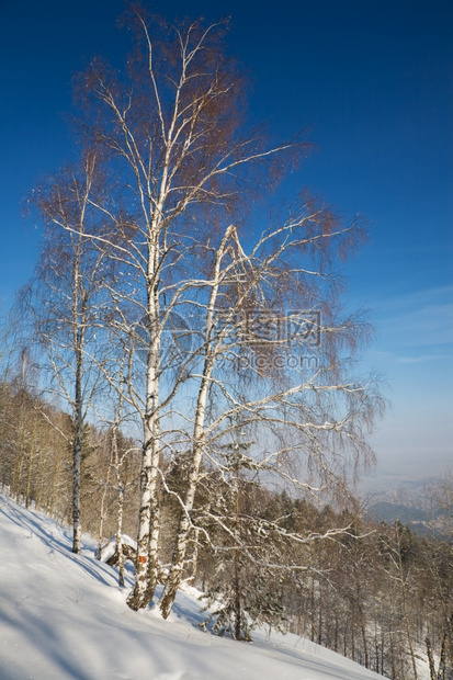 雪山上的滑雪跑道图片