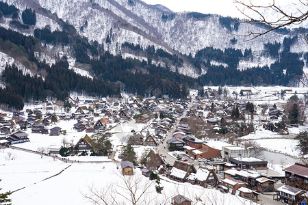 日本人Gifu的白川果冬雪老吸引力图片