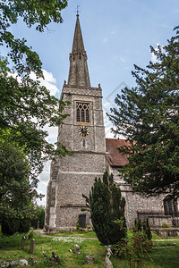 钟英石树木国白金汉郡Risborough王子圣玛丽斯柯普教堂图片